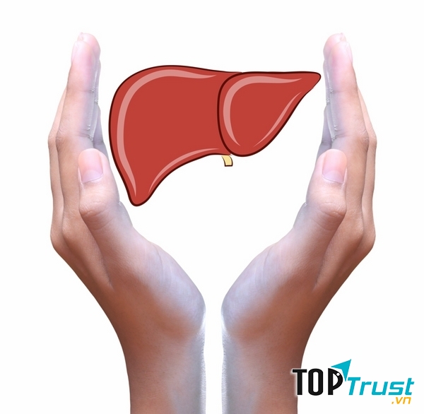 Gan hoạt động kém gây nám da