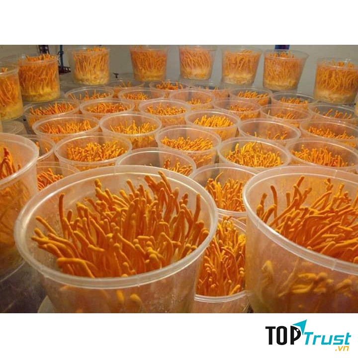 Ảnh minh họa - nguồn internet