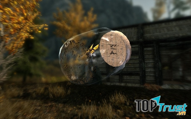 Những lọ thủy tinh trong Skyrim