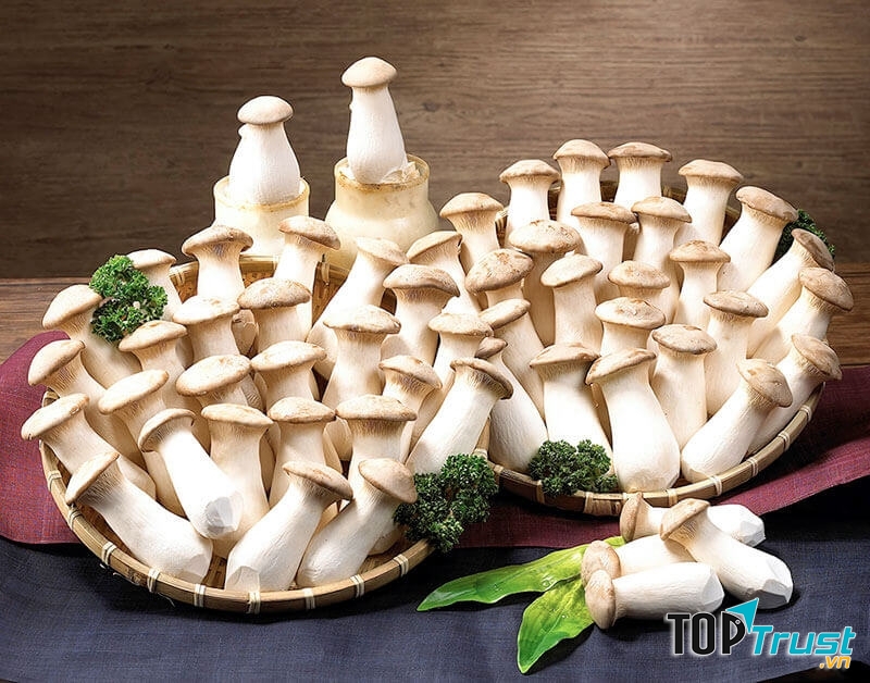 Nấm đùi gà