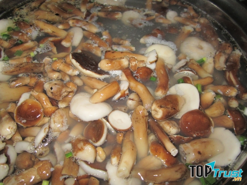 Nấm tràm.