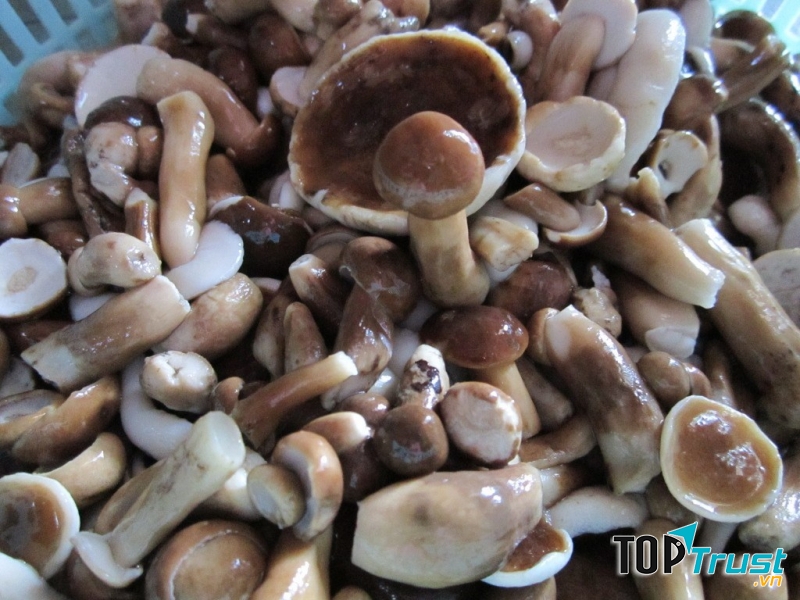 Ảnh minh họa - nguồn internet