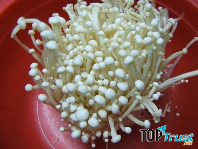 Nấm trâm vàng hay còn gọi là nấm kim châm