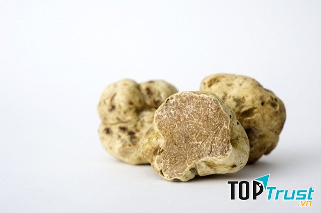 Nấm truffle trắng