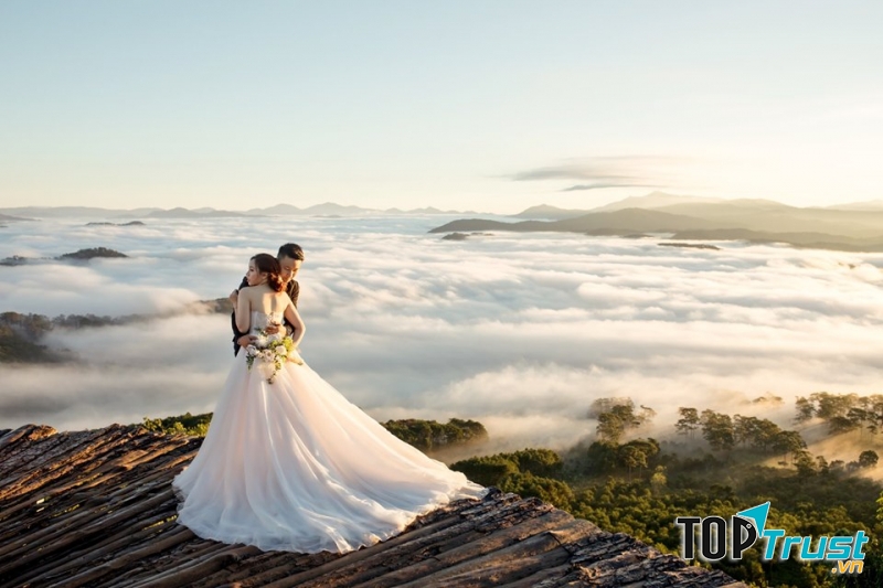 Nấm Wedding