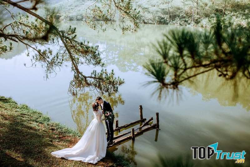 Nấm Wedding
