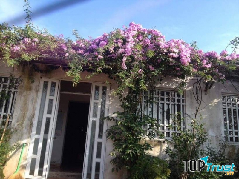 NamDinh Farm & Homestay