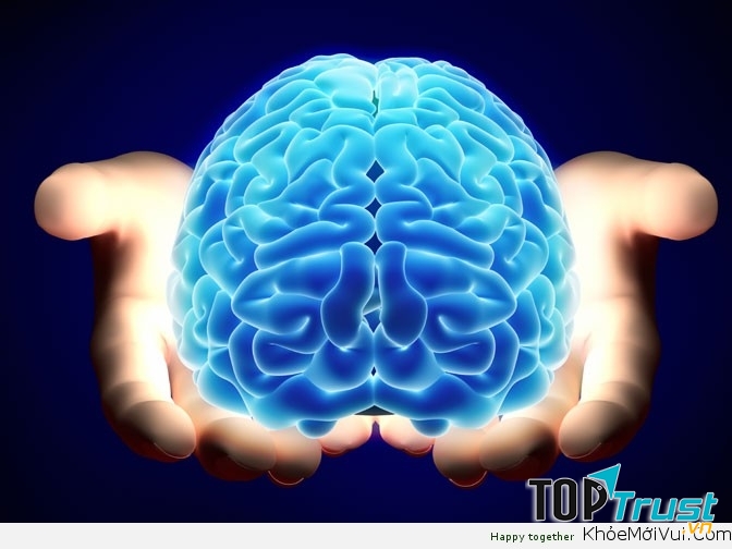 Não của bạn dù thông minh đến đâu cũng chỉ rộng bằng 1 chiếc gối.