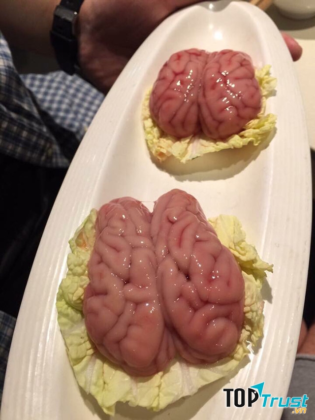 Não khỉ tươi