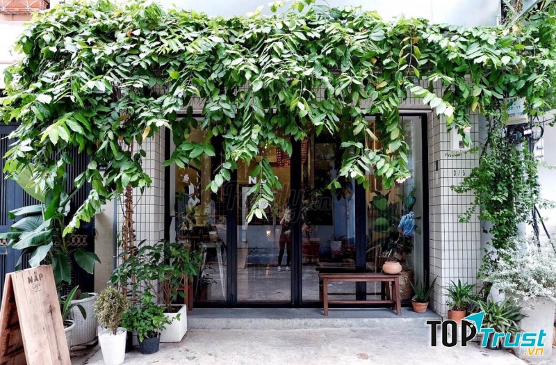 Ngay trước quán là giàn dây leo bao phủ
