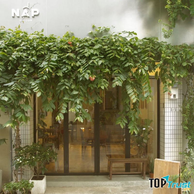 Nấp Saigon