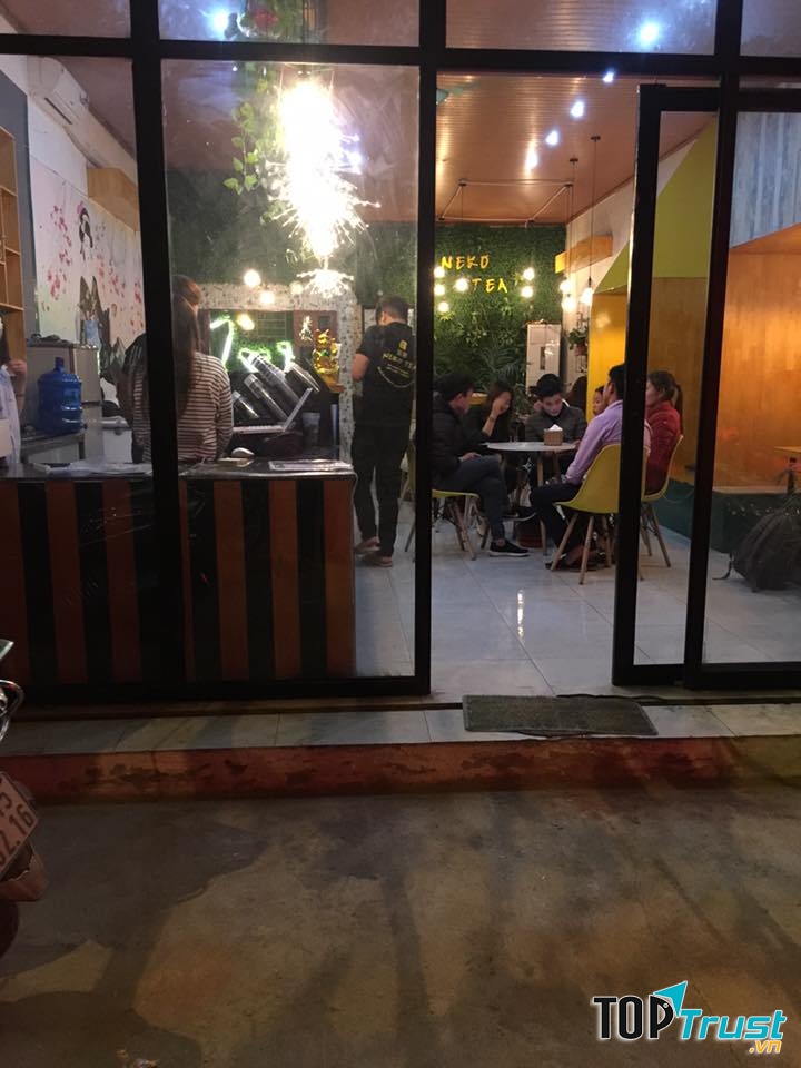 Không gian của Neko Thường Tín