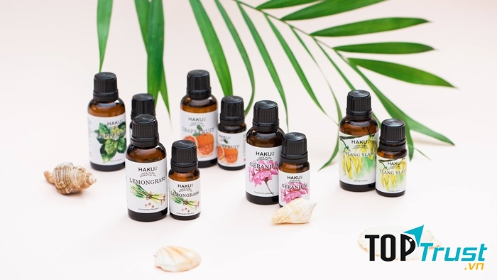 Xông tinh dầu vừa ngăn ngừa nấm mốc, muỗi, côn trùng vừa có tác dụng phòng bệnh