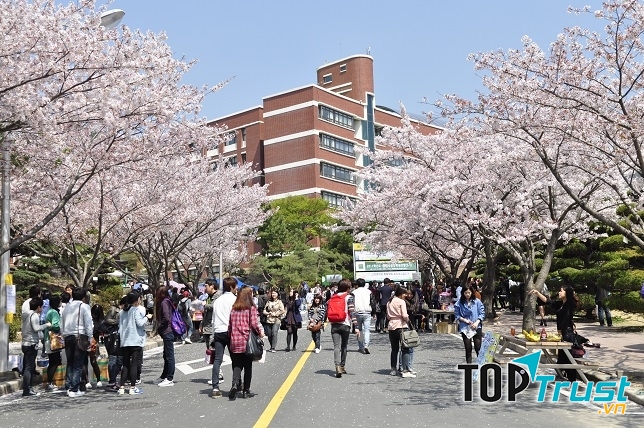 Nền giáo dục phát triển bậc nhất Châu Á