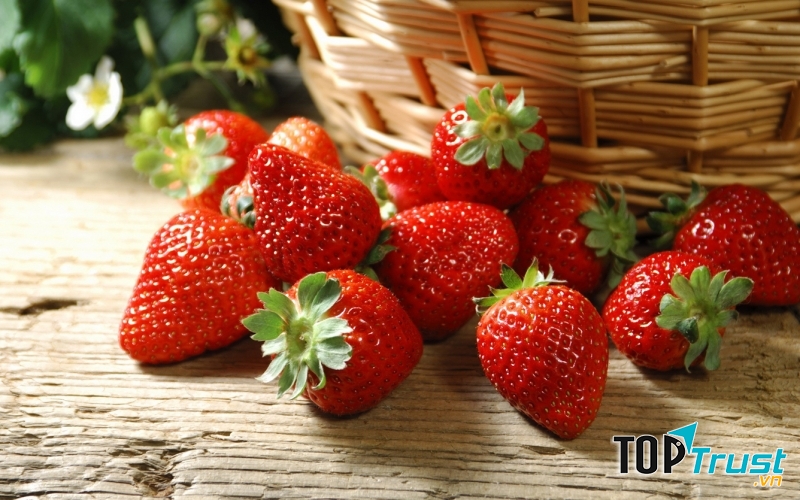 Hái dâu tây tại vườn