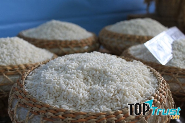 Những hạt nếp cái hoa vàng to tròn