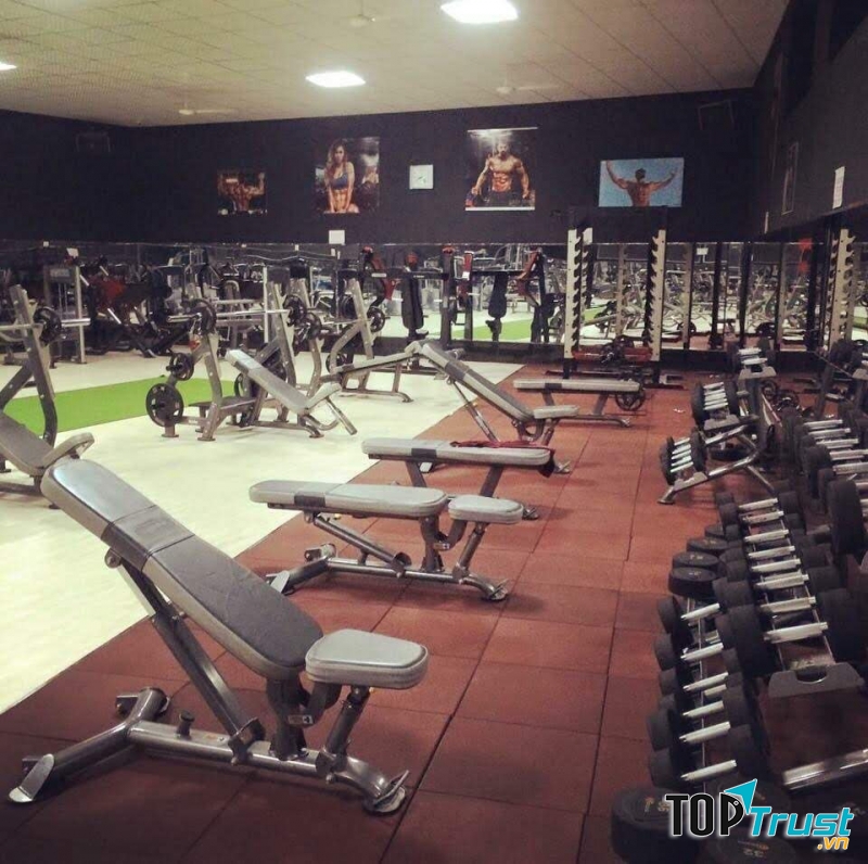 New Day Gym