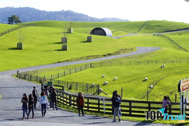 Xứ sở thần tiên ở New Zealand