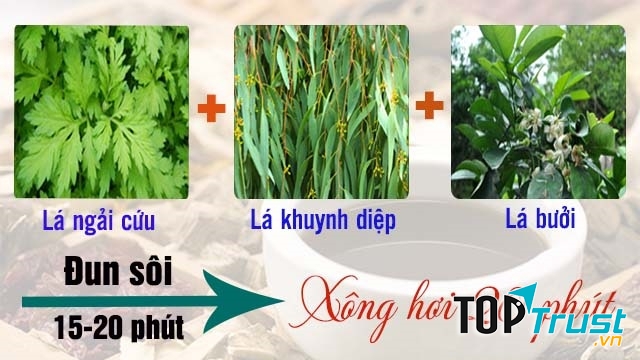 Ngải cứu, khuynh diệp và lá bưởi là các thuốc nam có công dụng rất tốt cho hệ thần kinh, chữa rối loạn tiền đình hiệu quả