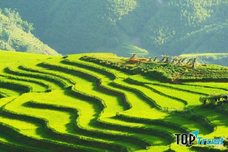 Ruộng bậc thang kỳ vĩ ở Sapa