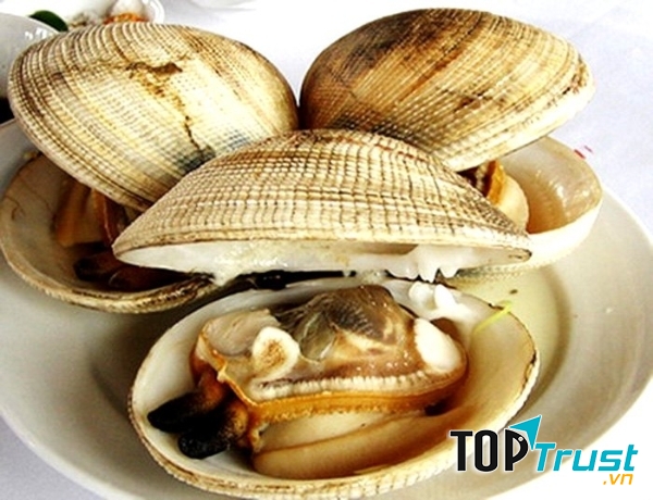Ngán được đánh giá là một loại thực phẩm có rất nhiều chất dinh dưỡng
