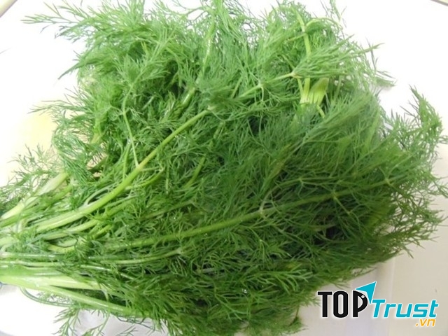 Thành phần Polyacetylenes trong lá thì là có tác dụng chống vi khuẩn và chống viêm hiệu quả