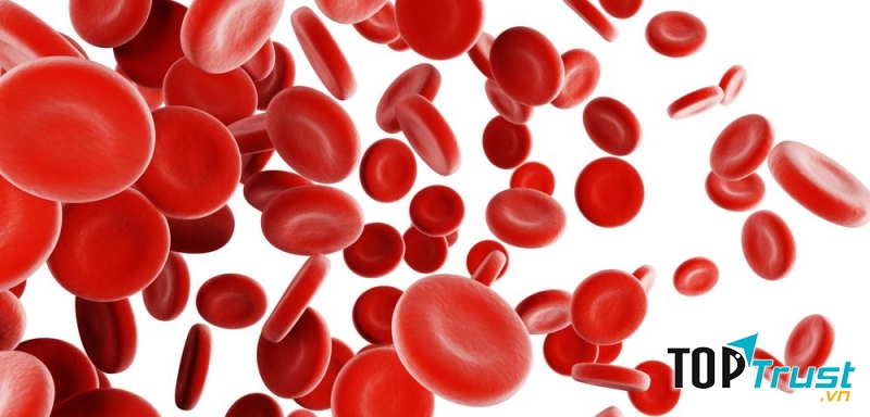 Trái lựu có thể ngăn ngừa thiếu máu