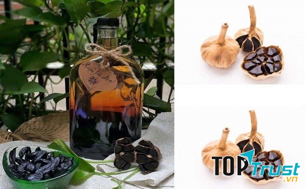 Tỏi đen trong phòng chống và điều trị ung thư ngày càng được ghi nhận