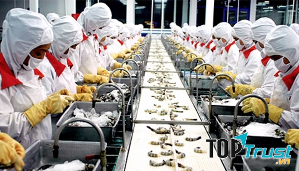 Ngành công nghệ thực phẩm phục vụ trong nước và xuất khẩu