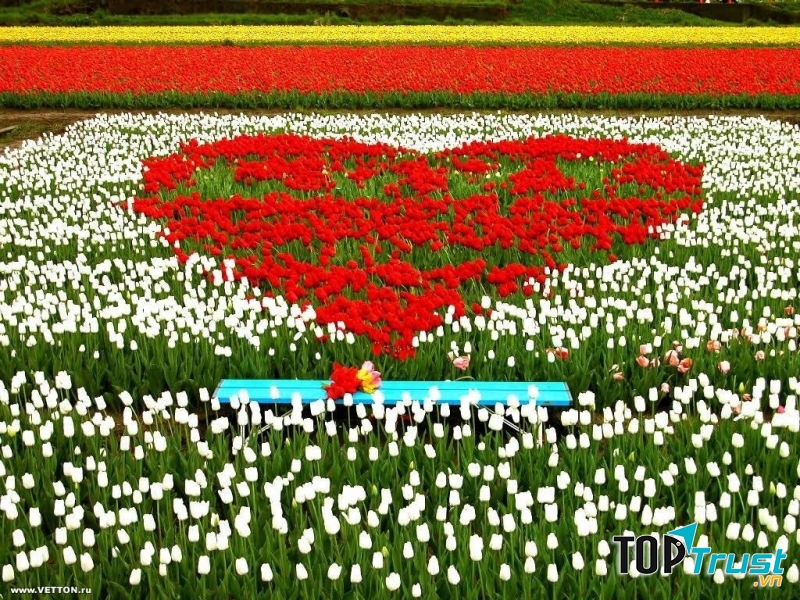 Cùng chung tay xây dựng và phát triển đất nước