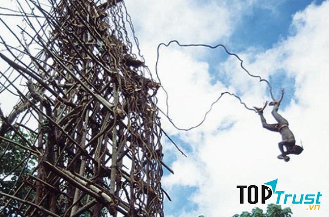 Theo người dân bộ tộc Vanuatu, nghi lễ này được thực hiện để cầu mong cho vụ mùa năm đó sẽ bội thu, nếu người nhảy xuống từ độ cao càng cao thì vụ mùa càng thắng lợi.