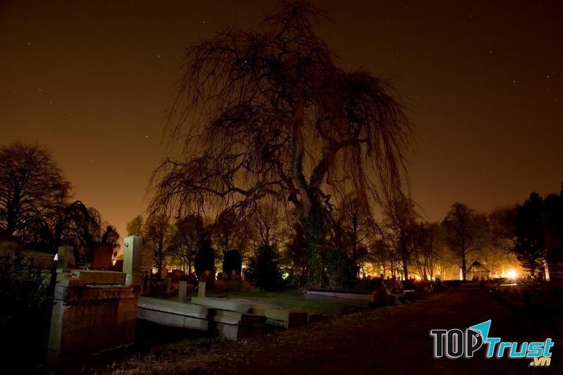 Nghĩa trang chứa nhiều âm khí