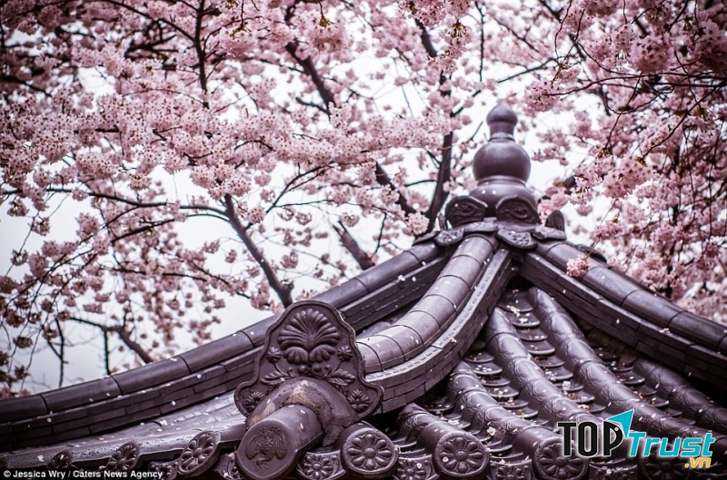 Phong cảnh vừa trang nghiêm nhưng cũng phảng phất sự lãng mạn