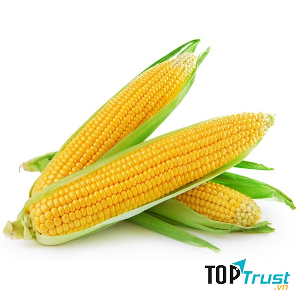 Ảnh minh họa - nguồn internet