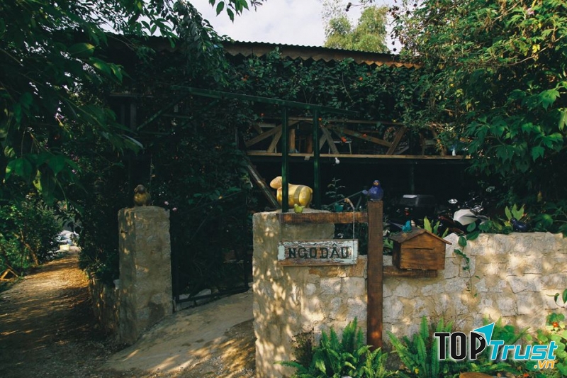 Homestay với thiết kế vừa “bụi” vừa “cổ kính”