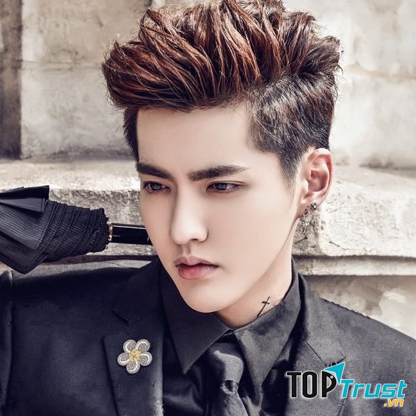 Ngô Diệc Phàm cũng là một cựu thành viên của nhóm nhạc EXO, là một nam ca sĩ nổi tiếng nhất Trung Quốc hiện nay