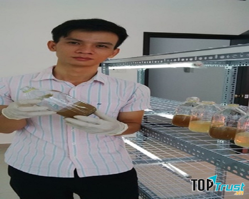 Anh Trần Hoàng Anh