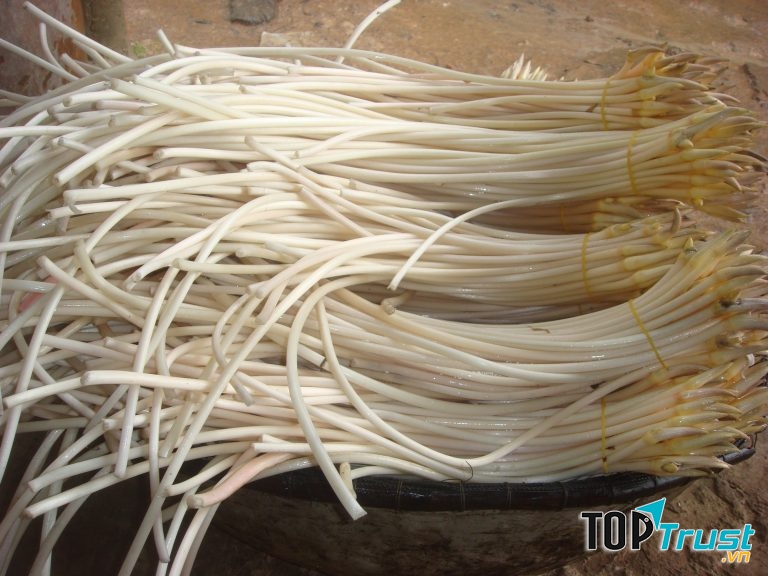 Cách giải rượu bằng ngó sen