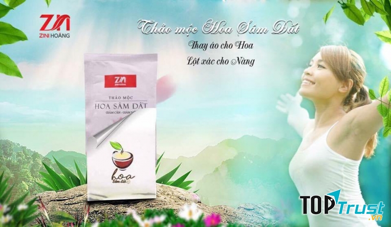 Trà Thảo Mộc Hoa Sâm Đất