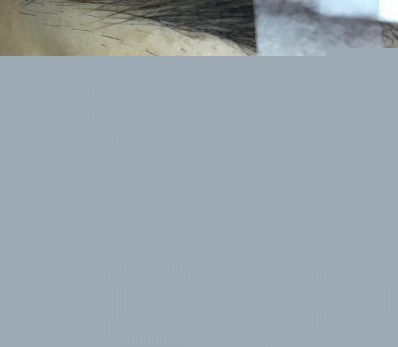 Ngọc Beauty Lash