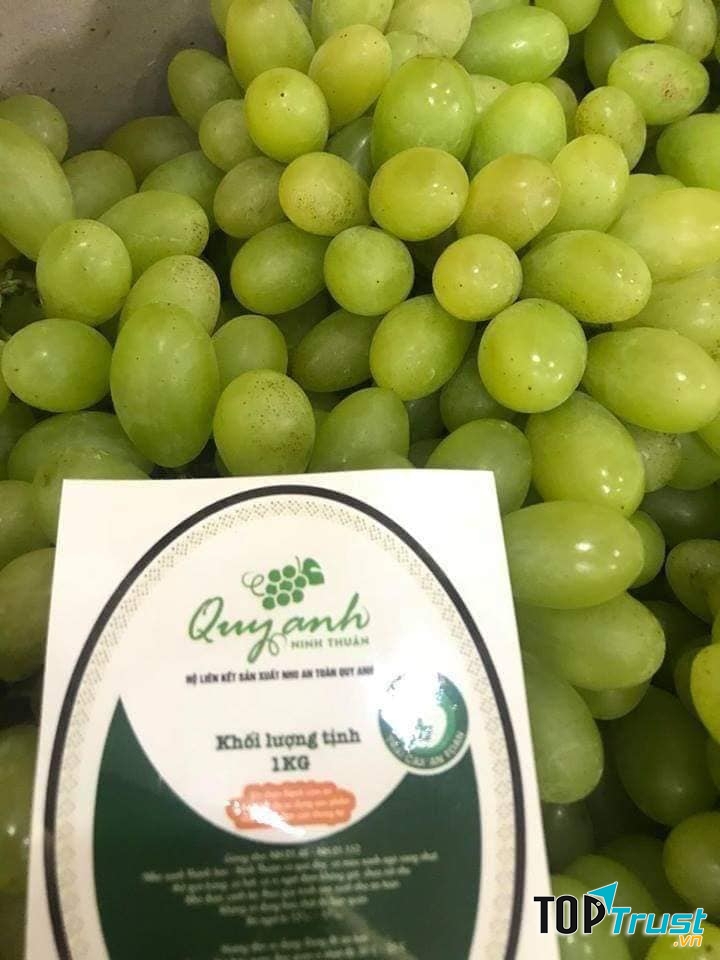 Ngôi Nhà Organic BG