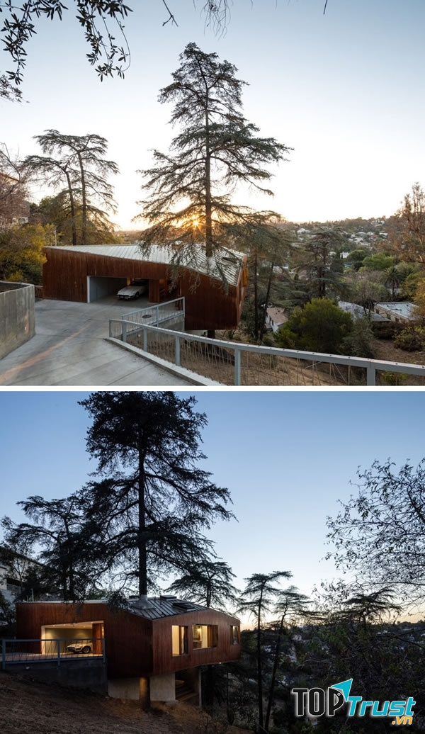 Bên ngoài tòa nhà