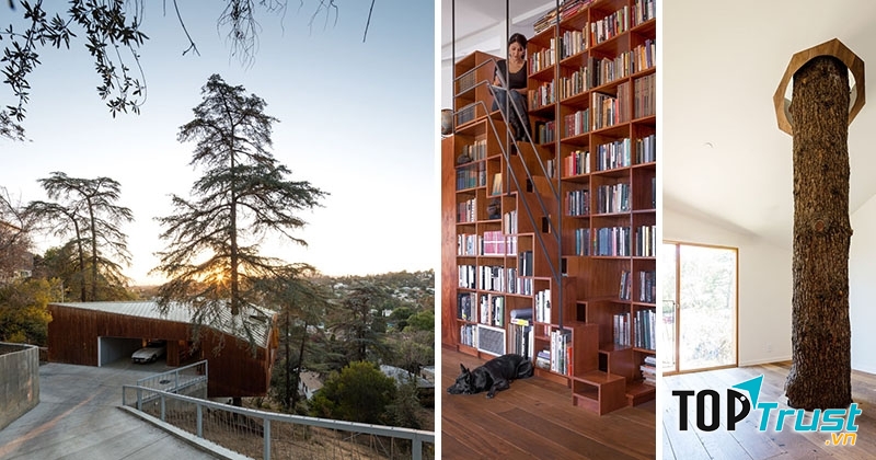 Một vài hình ảnh bên trong căn nhà