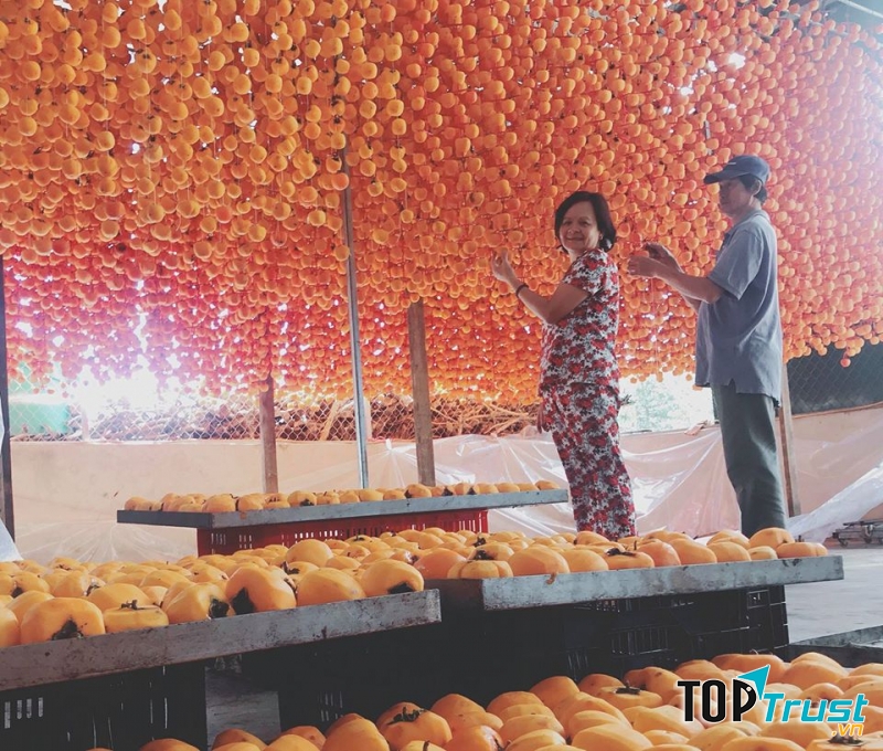 Vườn hồng treo bắt mắt