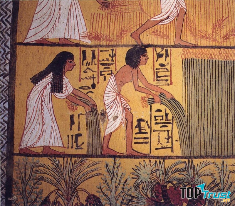 Việc phát minh ra ngôn ngữ viết đóng vai trò vô cùng quan trọng