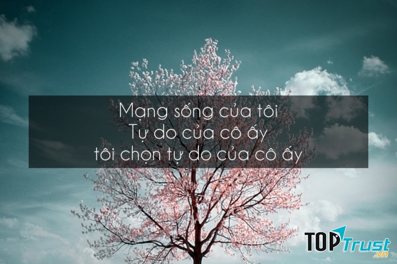 Quotes câu nói trong truyện Archimedes thân yêu