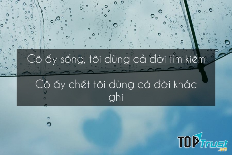 Quotes câu nói trong truyện Archimedes thân yêu