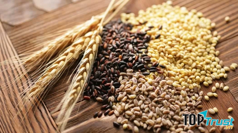 Trong ngũ cốc, còn chứa một hàm lượng lớn các vitamin B, hỗ trợ thúc đẩy sản sinh năng lượng trong cơ thể.