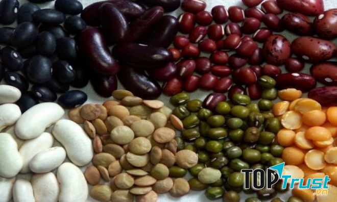 Những nguyên liệu tươi ngon chất lượng cho sản phẩm tốt