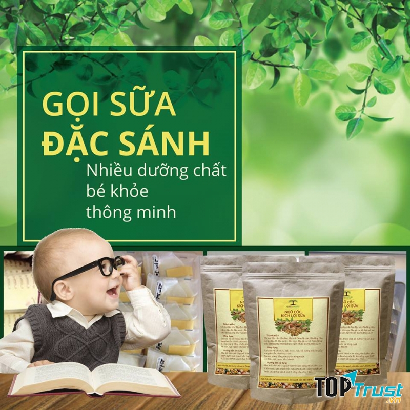 Ngũ Cốc Kích Lợi Sữa Queen Nature